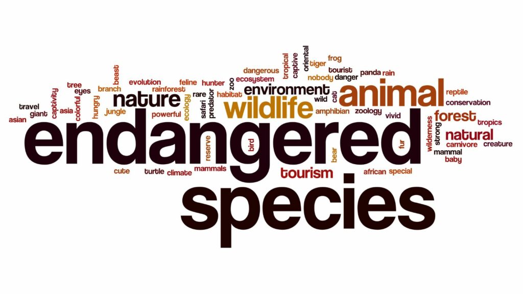 which statement concerning rare threatened or endangered species is true