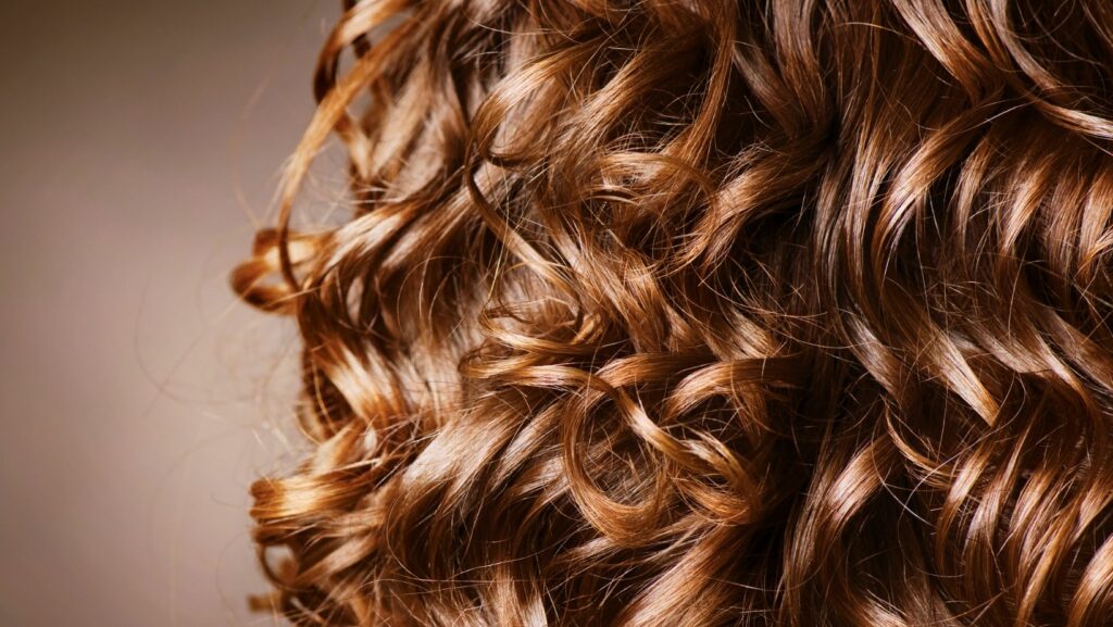 caramel highlights on curly hair